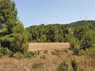Suelo rústico en C/ Dehesa de Mojón Blanco - Almansa - Albacete