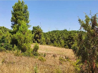 Suelo  rústico en Dehesa de Mojón Blanco