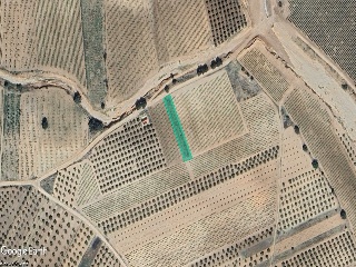 Suelo no urbanizable en La Herrada