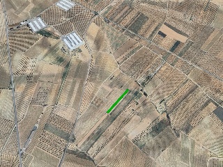 Suelo rústico en Los Corrales - Utiel - Valencia