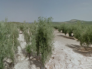 Torredonjimeno