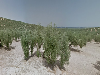 Torredonjimeno