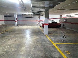 CL CHARLES ROBERT DARWIN