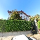 51509928_ee4d7bad7d0056a88d180feae761ed6a74948dbf