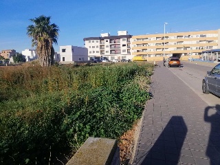 UE SECTOR PALAFANGUES