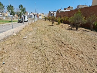 CL. ALGARROBO (UNIDAD DE EJECUCION 36-UE