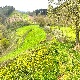 42221592_28d5516d6de65b6e6e57cfc72aad1155dba3dcfe