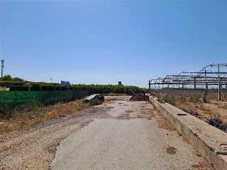 PARTIDA DE LES CONS Y BOTET, polígono 20, parcela 55