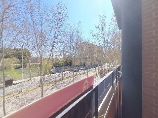 Ayora