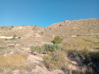 PARCELAS 136,138,Y142 SECTOR ZR 21