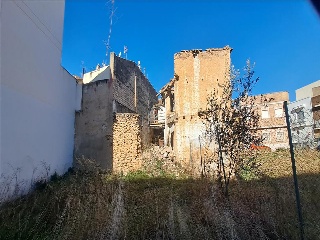 SAN LUCAS EVANGELISTA