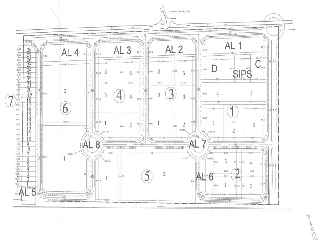 LOS PALILLOS CATORCE