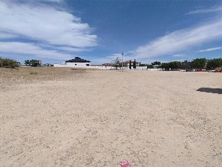 EL OLIVAR Y TIERRA CALVA, LA TORRECILLA