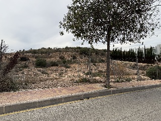 Suelo urbano en Molina de Segura