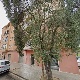 uploadedimg_19D4C784-1536-42BE-AE84-4DF81DAC1303