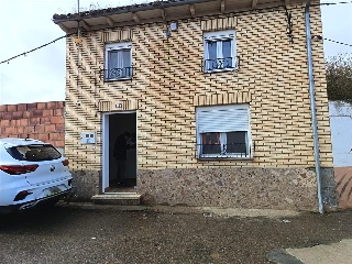 LABRADORES