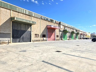 PINOS PUENTE