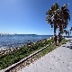 uploadedimg_4D674BAA-CC6E-4BA7-A4E9-B201F8E9C1F7