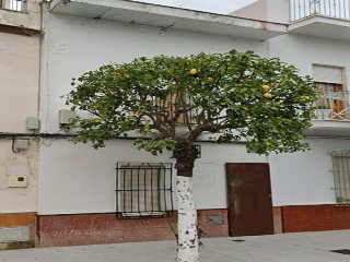 Casa adosada en C/ Enmedio - Puerto Serrano - Cádiz