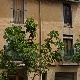 uploadedimg_6229D8A0-6F19-4DB9-B61A-0F9965C5CD54