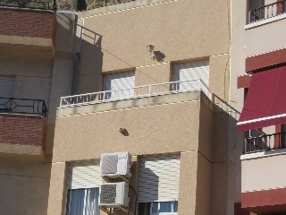 Piso en C/ De La Estación, Blanca (Murcia)