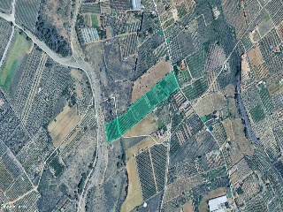 Finca rústica con edificación en Riudoms - Tarragona -
