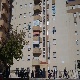 HAYA-10313591