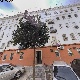 uploadedimg_39B98462-6C99-48B1-B327-16EA1E2FAFF1