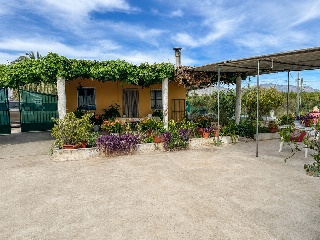 Terreno con vivienda