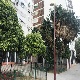 imagen_9872006