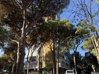 Piso en C/ Hortensia, Castell-Platja d´Aro (Girona)