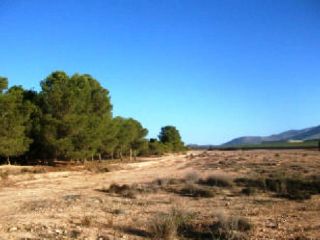 Promoción de suelos en venta en pre. cañada del toyo en la provincia de Murcia