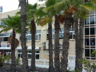 Oficinas en Las Palmas de Gran Canaria