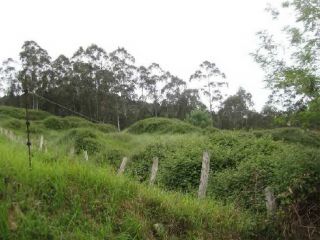 Suelo en Llanera