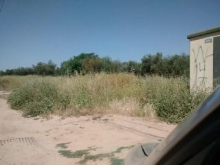 Promoción en Plan Parcial R1-A La Sabina, Manz.2, Bollullos De La Mitacion, Sevilla