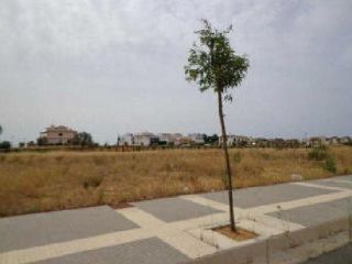 Promoción en Valdepegas Norte, S/n, Lepe, Huelva