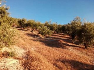 Rústico en venta en Pre. Sierra San Pedro, Poligono, Alcaudete, Jaén