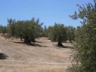 Rústico en venta en Pre. Sierra De San Pedro, Sn, Alcaudete, Jaén