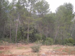 Rústico en venta en Pre. Las Aguilas, S/n, Montizon, Jaén