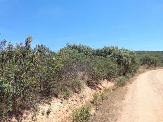 Rústico en venta en Pre. La Moliniche Poligono 37, Montizon, Jaén