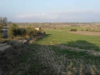 Promoción en Pre. Del Prat Y Boscarro / Poligono 13 - Parc 99/100, Tarrega, Lleida