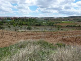 Suelo en venta en pre. paraje sangorrina, pol. 21, Paniza, Zaragoza Suelo en venta en pre. paraje sangorrina, pol. 21, Paniza, Zaragoza