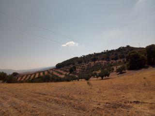 Rústico en venta en C. Cortijo La Hurraca, S/n, Quesada, Jaén