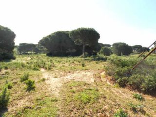 Suelo en Chiclana de la Frontera