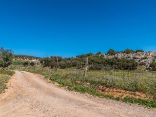 Rústico en venta en Paraje Boca De Pozanco Poligono 5 Parcela 224, Yebenes, Los, Toledo