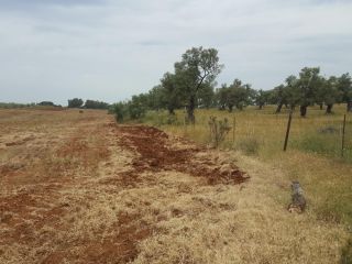 Promoción de suelos en venta en sitio urraco... en la provincia de Huelva
