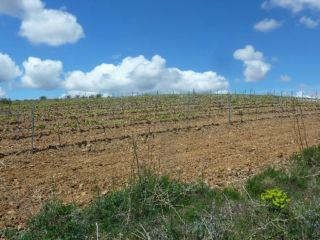 Promoción de suelos en venta en pre. paraje sangorrina, pol. 21 en la provincia de Zaragoza