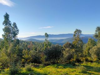 Vivienda en venta en C. Romani, 10, Riudarenes, Girona