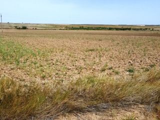 Promoción de terrenos en venta en carretera del ebro en la provincia de Navarra