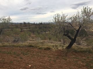 Promoción de terrenos en venta en pre. paraje de servilla (1/2) en la provincia de La Rioja